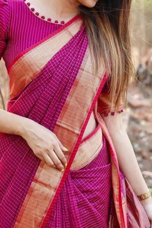 Maheshwari handloom jari border all over jari checks sarees